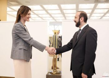 Միրզոյանը Լիտվայի Սեյմի նախագահին է ներկայացրել Հարավային Կովկասում հարատև խաղաղության հասնելու Հայաստանի տեսլականը