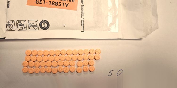 ՀՀ ներմուծված առաքանուց հայտնաբերվել է «ֆենտանիլ» տեսակի թմրամիջոց