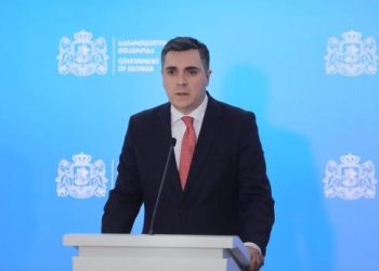 Վրաստանը բոլոր ջանքերը կգործադրի Հայաստանի և Ադրբեջանի միջև խաղաղության հասնելու համար. ԱԳ նախարար