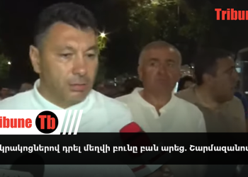 Իրա կրակոցներով դրել մեղվի բունը բան արեց. Շարմազանով. տեսանյութ