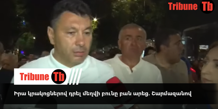 Իրա կրակոցներով դրել մեղվի բունը բան արեց. Շարմազանով. տեսանյութ