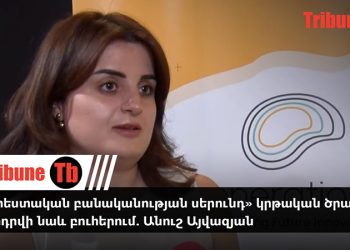 «Արհեստական բանականության սերունդ» կրթական ծրագիրը կներդրվի նաև բուհերում. Անուշ Այվազյան. տեսանյութ