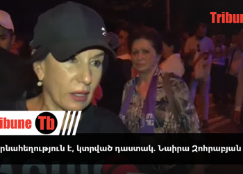 Էս արնահեղություն է, կտրված դաստակ. Նաիրա Զոհրաբյան. տեսանյութ