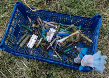 Երևանյան լճից մեծ թվով ներարկիչներ են գտել