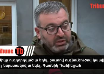 Հասմիկը ուղղորդված ա եղել, շուտով ուղնուծուծով կասվի՝ ով ա ու ինչ նպատակով ա եկել. Գառնիկ Դանիելյան. տեսանյութ