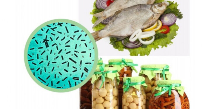 Արմավիրի մարզում արձանագրվել է բոտուլիզմի 1 դեպք՝ 2 տուժածով