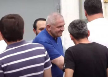 Մամիկոն Ասլանյանն ազատ արձակվեց