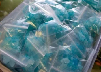 Նիդեռլանդներում առգրավվել է երկրի պատմության մեջ մետամֆետամինի ամենամեծ խմբաքանակը