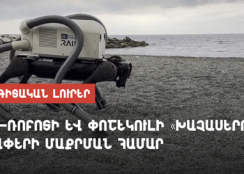 Շուն-ռոբոտի և փոշեկուլի «խաչասերում»` լողափերի մաքրման համար