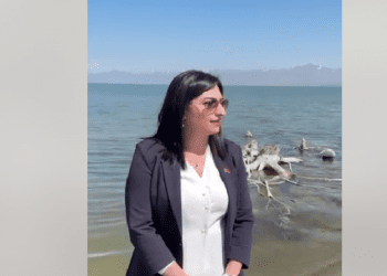 Սևանա լիճը ողբերգական վիճակում է․ Թագուհի Թովմասյան