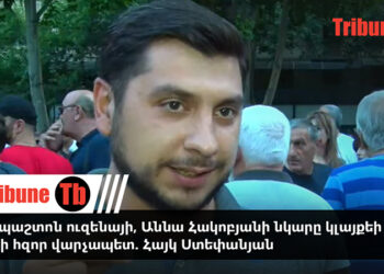 Եթե պաշտոն ուզենայի, Աննա Հակոբյանի նկարը կլայքեի ու կգրեի հզոր վարչապետ. Հայկ Ստեփանյան. տեսանյութ