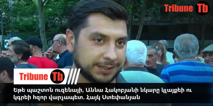 Եթե պաշտոն ուզենայի, Աննա Հակոբյանի նկարը կլայքեի ու կգրեի հզոր վարչապետ. Հայկ Ստեփանյան. տեսանյութ