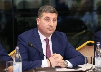 Ինչ ունեցվածք և ֆինանսական միջոցներ է հայտարարագրել Գնել Սանոսյանը. «Ժողովուրդ»