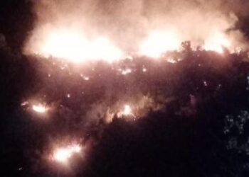 Անթալիայում անտառային հրդեհներ են