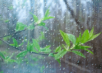 Առաջիկա օրերին անձրևներ կլինեն, այնուհետև ջերմաստիճանը կբարձրանա 8-10 աստիճանով