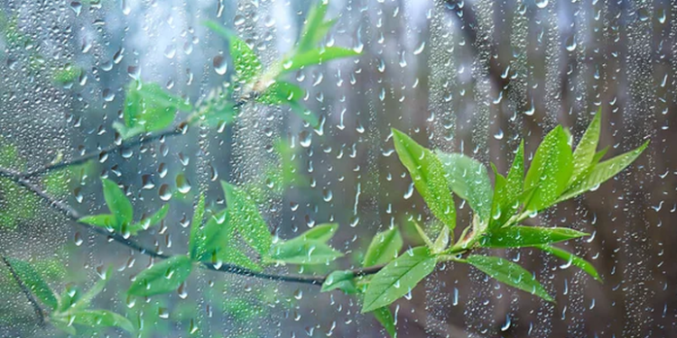 Առաջիկա օրերին անձրևներ կլինեն, այնուհետև ջերմաստիճանը կբարձրանա 8-10 աստիճանով