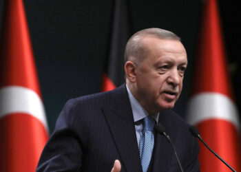 Էրդողանը հայտնել է, որ ԵՄ երկրները Թուրքիայից ԱԹՍ-ներ են պատվիրում