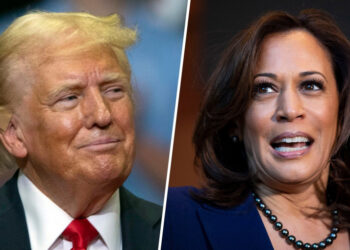 «Թրամփի առջև ծառացած խնդիրներն առավել լուրջ են Հարիսի թեկնածության պարագայում, քան Բայդենի»․ Ս. Սարգսյան