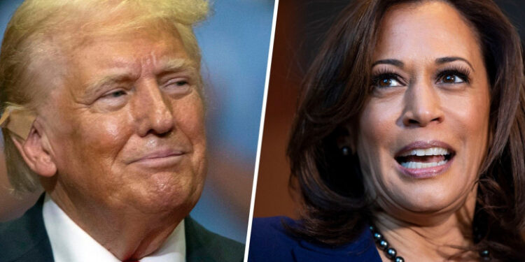 «Թրամփի առջև ծառացած խնդիրներն առավել լուրջ են Հարիսի թեկնածության պարագայում, քան Բայդենի»․ Ս. Սարգսյան