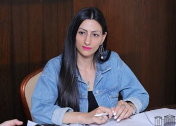 Հավաքների ժամանակ ոստիկանների կողմից եղել են անհամաչափ ուժի գործադրման դեպքեր. Մանասյան