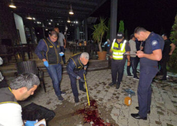 ՔԿ-ն նոր մանրամասներ է հայտնել նորատուսցի Արայի որդու մասնակցությամբ միջադեպից