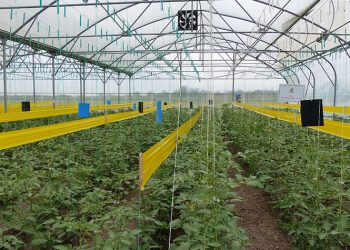 Լճաշեն գյուղում կկառուցվի գերժամանակակից ջերմոցային համալիր