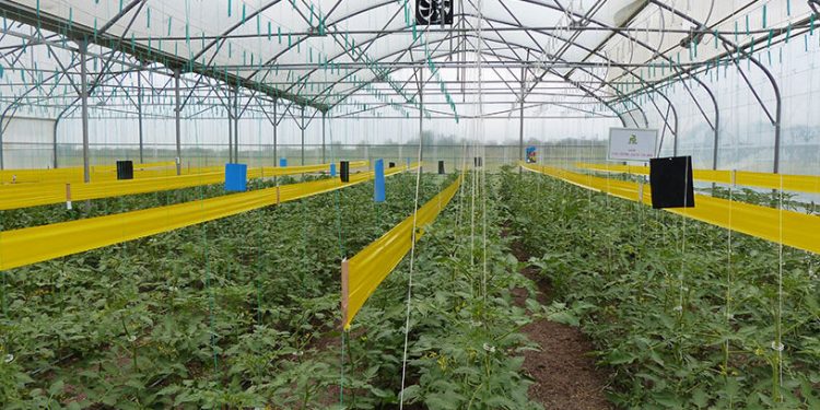 Լճաշեն գյուղում կկառուցվի գերժամանակակից ջերմոցային համալիր