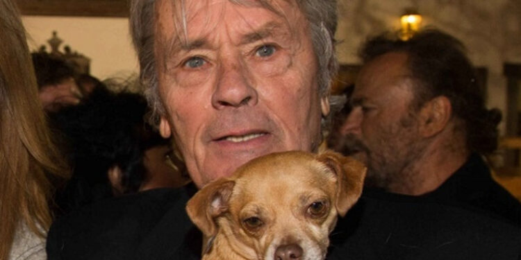 Ալեն Դելոնին կհուղարկավորեն մատուռում՝ իր շների կողքին