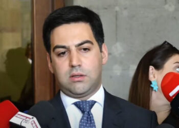 Հլը մի հատ պատկերացրեք կադրը՝ մաքսային ծառայողն ինչպե՞ս կարող է ստիպել, որ քաղաքացին թմրանյութ խմի. Բադասյանը՝ Բրազիլիայի քաղաքացու մահվան դեպքի մասին