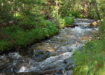 «Գյումրի» ԲԿ է տեղափոխվել 38-ամյա տղամարդու դի. հանգամանքները պարզվում են