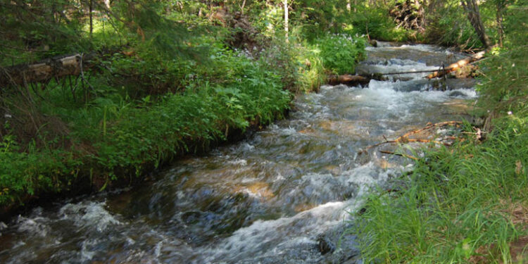 «Գյումրի» ԲԿ է տեղափոխվել 38-ամյա տղամարդու դի. հանգամանքները պարզվում են