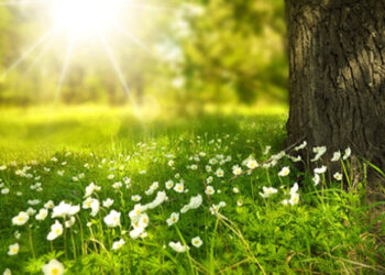 Առաջիկա օրերին օդի ջերմաստիճանը կբարձրանա 2-4 աստիճանով