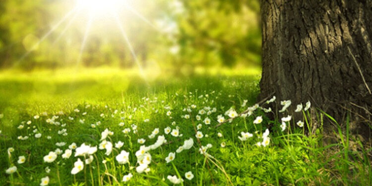 Առաջիկա օրերին օդի ջերմաստիճանը կբարձրանա 2-4 աստիճանով