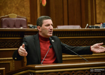 «Խնդրեմ, տեսեք, թե Ալիևի վայրահաչություններից հետո ինչ մի պապանձվել-լալացել են քաղաքական պատուհասների կլուբի անդամները». Գևորգ Պետրոսյան