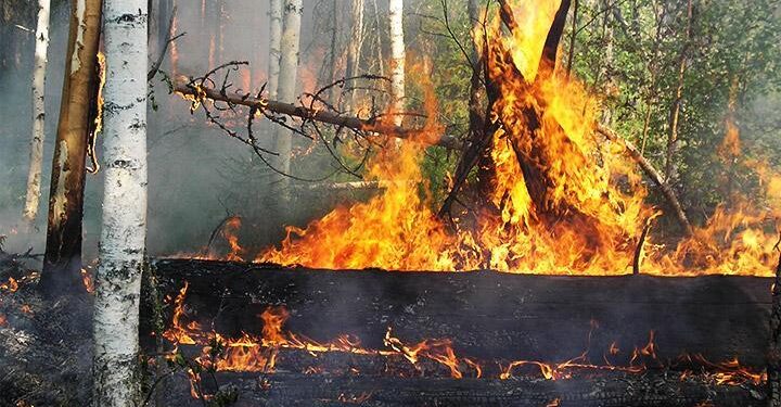 Առաջիկա 5 օրերին որոշ շրջաններում սպասվում է բարձր կարգի հրդեհավտանգ իրավիճակ