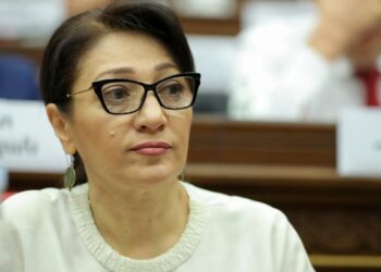 Դիմել եմ կառավարությանը՝ Արցախում մշակութային ցեղասպանության համատեքստում պատասխան եմ ակնկալում. Լիլիթ Գալստյան