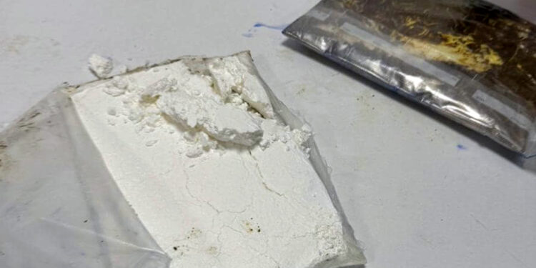 ՊԵԿ-ը բացահայտել է 3 կիլոգրամ քաշով «կոկաին» տեսակի թմրամիջոցի մաքսանենգության դեպք