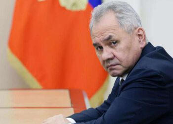 Շոյգուն ժամանել է Իրան