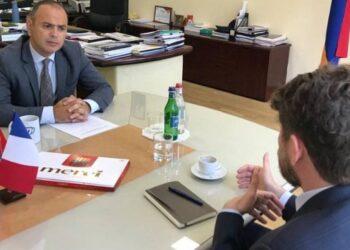 Ֆրանսիայում հայկական սփյուռքը մեծությամբ երրորդն է աշխարհում. դեսպանը հանդիպել է Սինանյանին