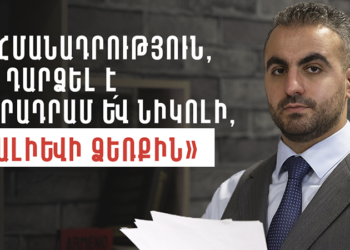 «Սահմանադրություն, որը դարձել է մանրադրամ և՛ Նիկոլի, և՛ Ալիևի ձեռքին»