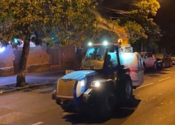 Կոմիտաս և Բաղրամյան պողոտաներում կիրականացվեն ծառերի սրսկման աշխատանքներ