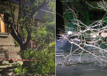 Երևանում և Աբովյանում քամու հետևանքով ծառեր են կոտրվել և ընկել