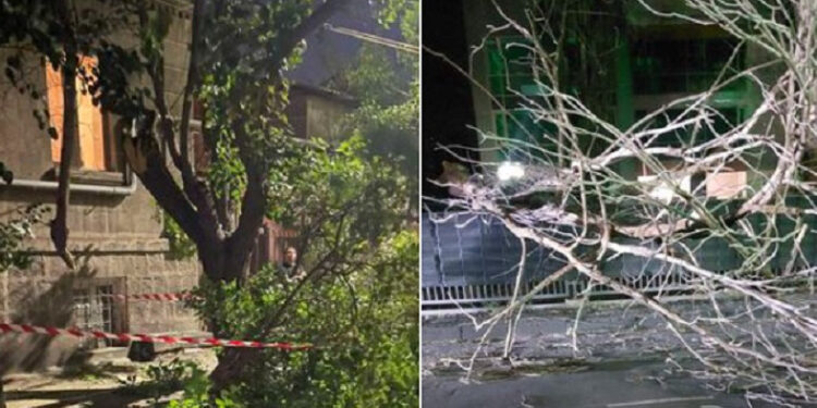 Երևանում և Աբովյանում քամու հետևանքով ծառեր են կոտրվել և ընկել