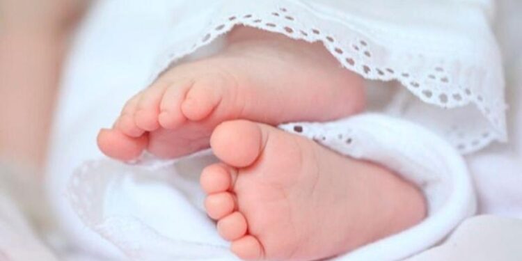 ՀՀ-ում ծնունդները պակասել են, մահերը՝ ավելացել․ ԱՎԿ