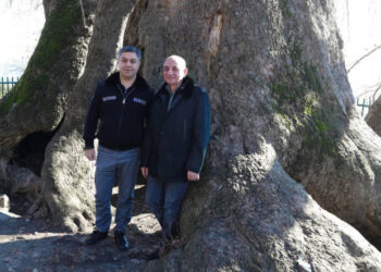 «Վստահ եմ՝ արդարությունը կհաղթի, և Բակո Սահակյանը, Ադրբեջանում պատանդ պահվող Արցախի ռազմական և պետական գործիչները, մյուս գերիները կվերադառնան տուն». Վանեցյան