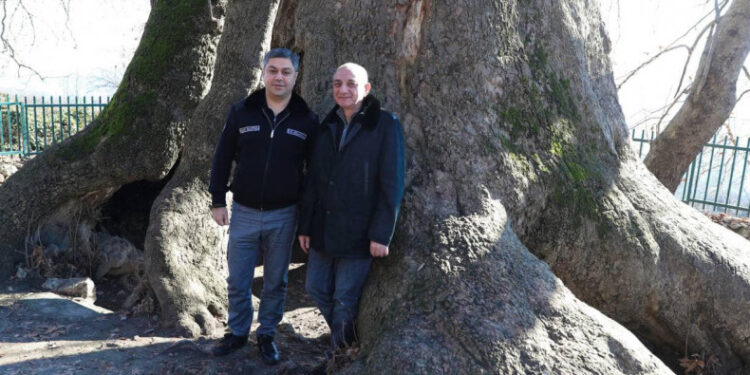 «Վստահ եմ՝ արդարությունը կհաղթի, և Բակո Սահակյանը, Ադրբեջանում պատանդ պահվող Արցախի ռազմական և պետական գործիչները, մյուս գերիները կվերադառնան տուն». Վանեցյան