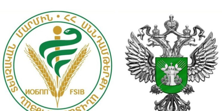 Երկուշաբթի կվերացվի գյուղմթերքի՝ ՌԴ ներմուծման սահմանափակումը մեկ կազմակերպության համար. ՍԱՏՄ