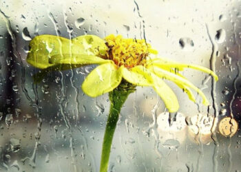 Առաջիկա օրերին՝ կարճատև անձրև ու ամպրոպ. ջերմաստիճանը կնվազի 5-6 աստիճանով