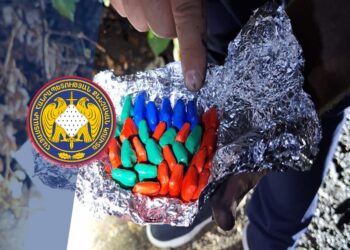 Հնդկաստանի երկու քաղաքացի կալանավորվել է՝ թմրամիջոցների ապօրինի շրջանառության մեղադրանքով. ՔԿ