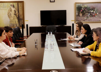 Արհեստական բանականության ոլորտի կրթության ներդրման հայաստանյան փորձը հետաքրքրել է միջազգային գործընկերներին